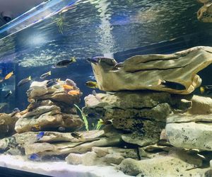 Rozmawiamy z Tomaszem Wiśniewskim, założycielem Aqua Dreams Bydgoszcz