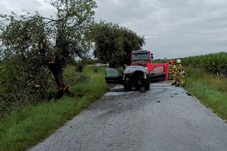 Śmiertelny wypadek pod Pleszewem. W aucie 40-latki wybuchł pożar [ZDJĘCIA]