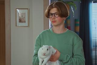 Barwy szczęścia, odcinek 2665. Aleks (Hubert Wiatrowski)