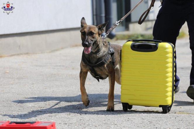 Wojewódzkie eliminacje do XXI Kynologicznych Mistrzostw Policji na obiektach KWP Lublin