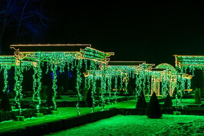 Królewski Ogród Światła - zobacz zdjęcia klimatycznych iluminacji w Warszawie