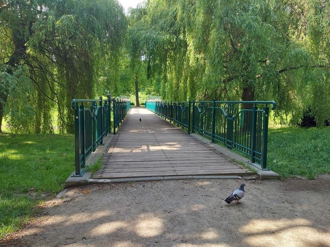 Park Miejski w Zamościu