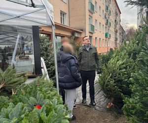 Mateusz Morawiecki kupił choinkę na święta