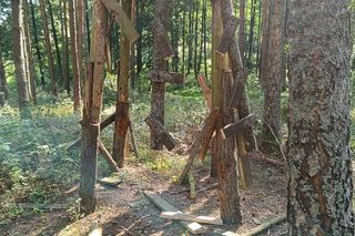 Uszkodził kilkanaście ambon myśliwskich. Sprawca został zatrzymany