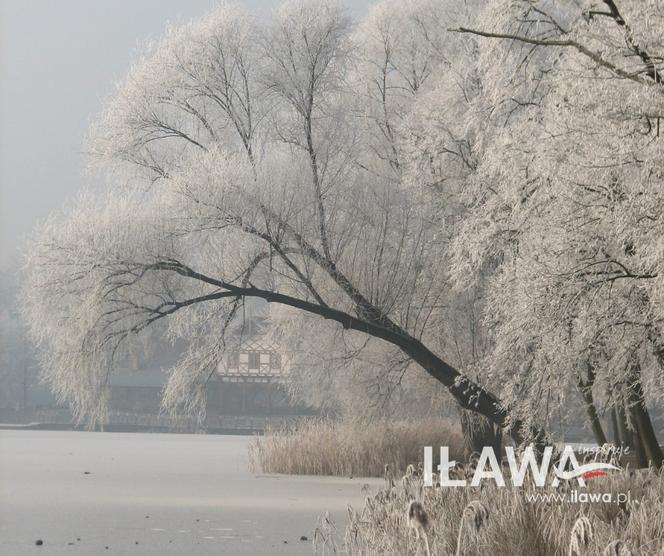 Rozkład jazdy na grudzień. Co się będzie działo w Iławie?