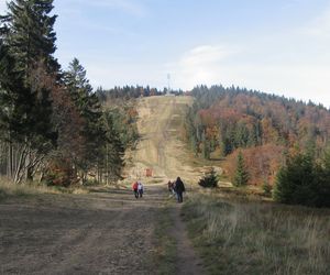 Oto najpiękniejsze szlaki turystyczne w Beskidzie Śląskim