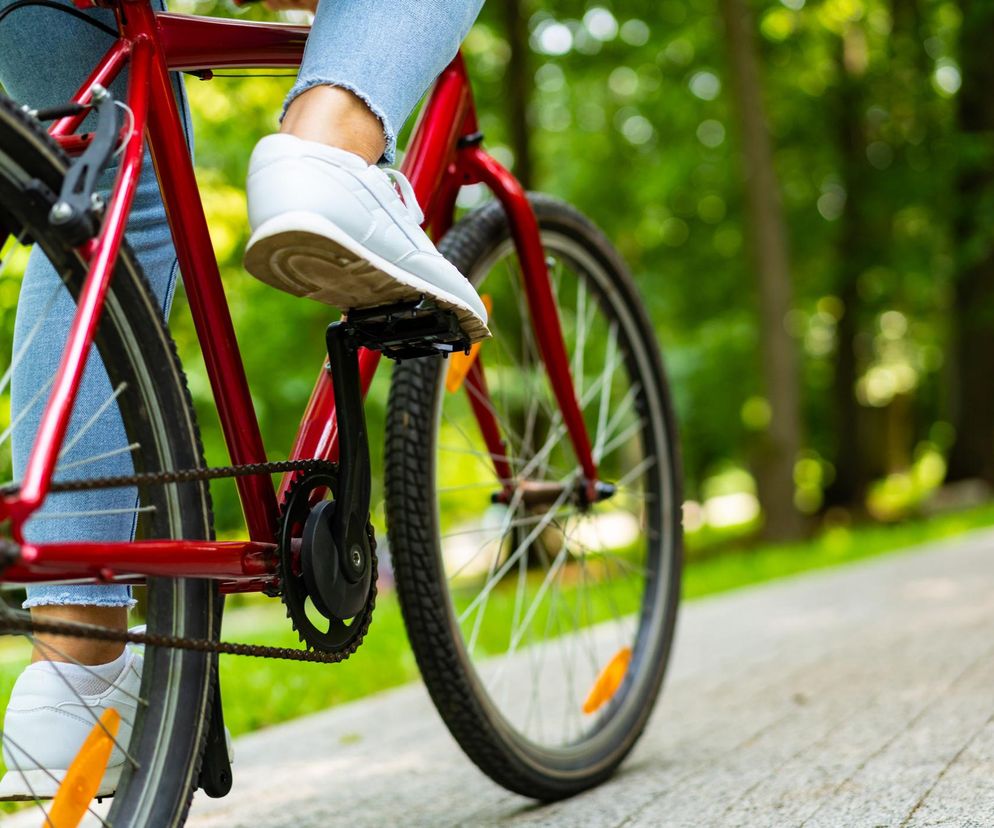 Jazda na rowerze chroni mózg. Prosta aktywność może chronić przed poważną chorobą