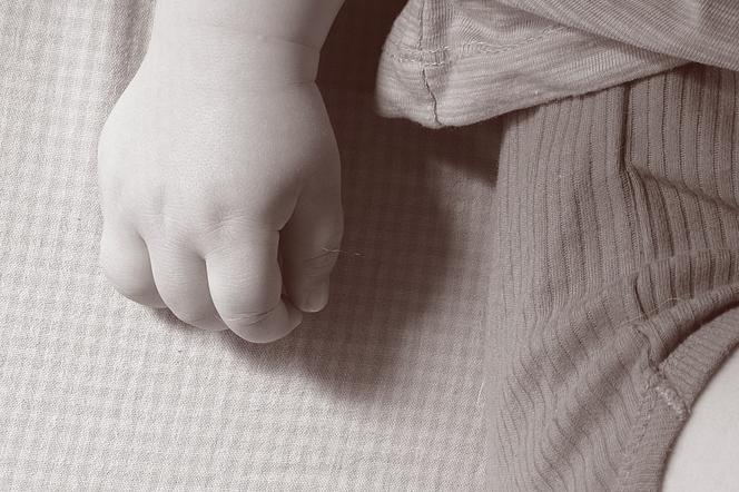 Zdjęcie ilustracyjne