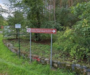 Najpiękniejsza wieś Dolnego Śląska. To miejsce przyciąga artystów 