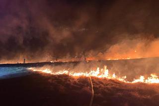 9 hektarów w ogniu! Zagrożona była farma. Potężny pożar przy granicy 