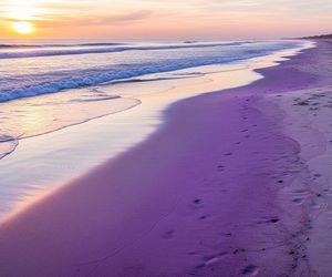 Fioletowy piasek na Pomorzu. Gdzie zlokalizowano niezwykłe zjawisko?