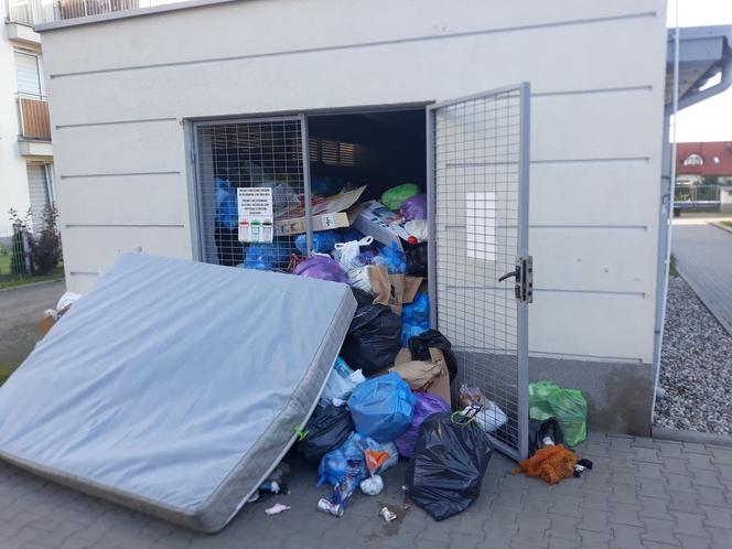 Problem z wywozem śmieci na Białołęce w Warszawie