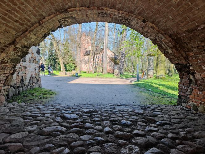 To najpiękniejszy park w Polsce. Warto przywitać tam wiosnę 