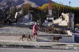 To koniec Los Angeles?! Miasto gwiazd może nie podnieść się po pożarach