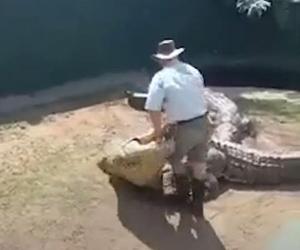  Krokodyl rzucił się na opiekuna podczas przedstawienia dla dzieci! Wszystko się nagrało. WIDEO