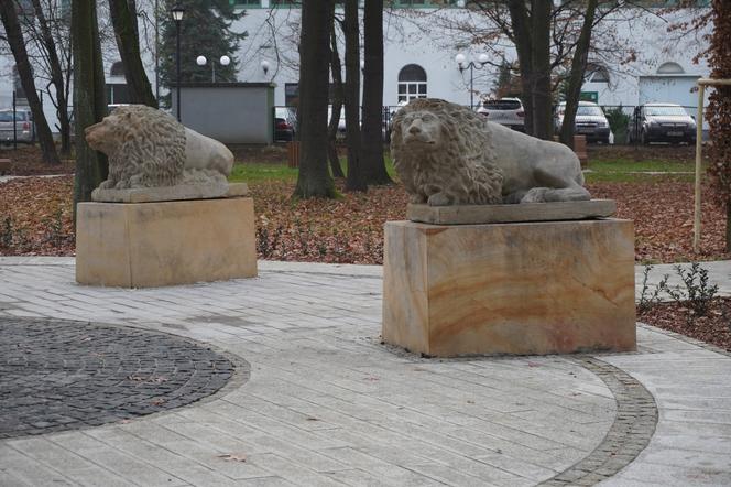 Żory. Nowy wygląd Parku Staromiejskiego. Miejsce przeszło ogromną metamorfozę ZDJĘCIA