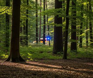 Próba detonacji w Warszawie. Co działo się w lesie przy Olszynce Grochowskiej?