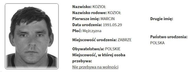 Rejestr Przestępców Seksualnych z województwa śląskiego [ZDJĘCIA]