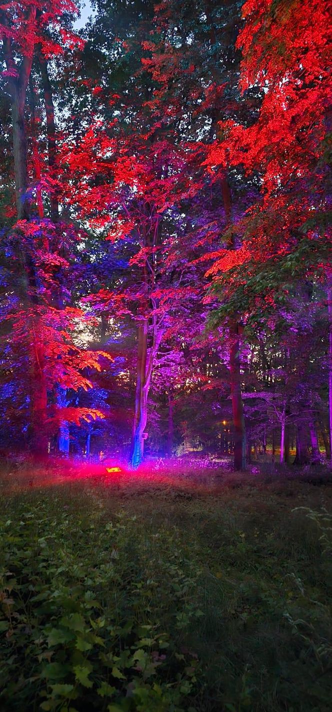 Park Świateł