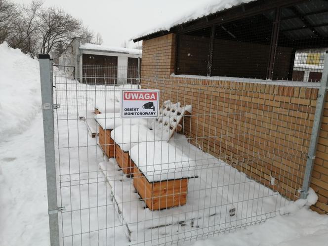 Cztery nowe oazy dla kotów w Suwałkach [ZDJĘCIA]