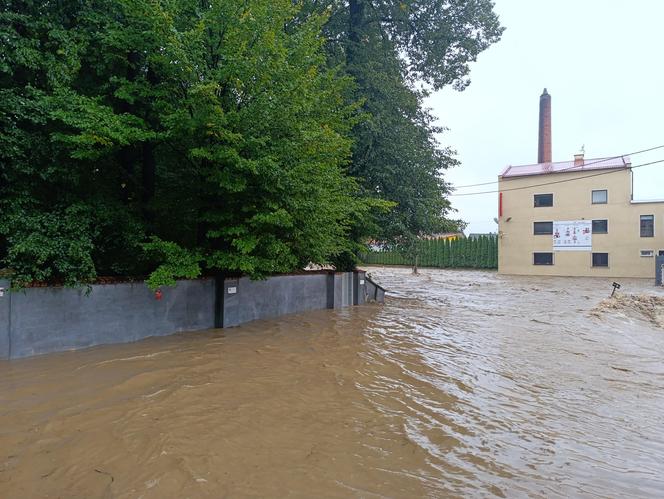 Zagrożenie powodziowe. Głuchołazy. Woda przelała się przez wały. Zalewa miasto