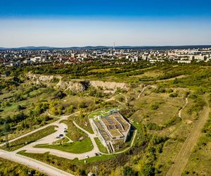 Ten rezerwat w Kielcach to przyrodniczy fenomen! Zobaczysz tu pozostałości po pradawnym morzu