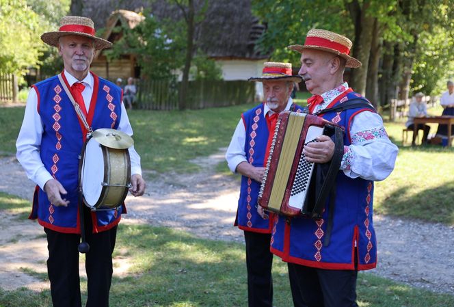 W skansenie w Lublinie pokazali, jak dawniej wyglądały wykopki kartoflane