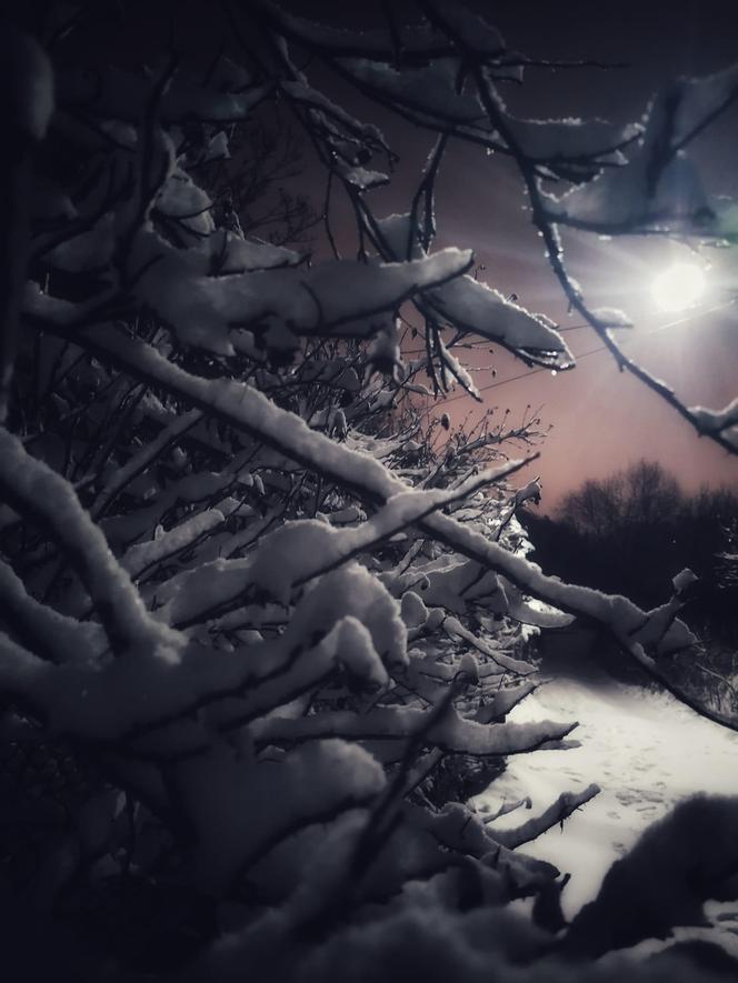 Śnieg na Pomorzu. Zima w obiektywach naszych Czytelników