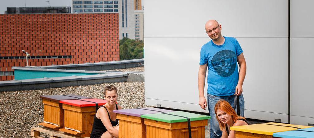 UŚ ma własną pasiekę! Pszczoły zamieszkają na dachu wydziału Prawa i Administracji [GALERIA]