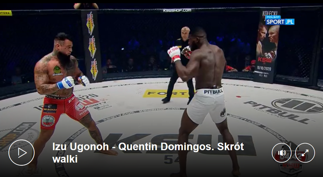 Skrót walki Ugonoh - Domingos
