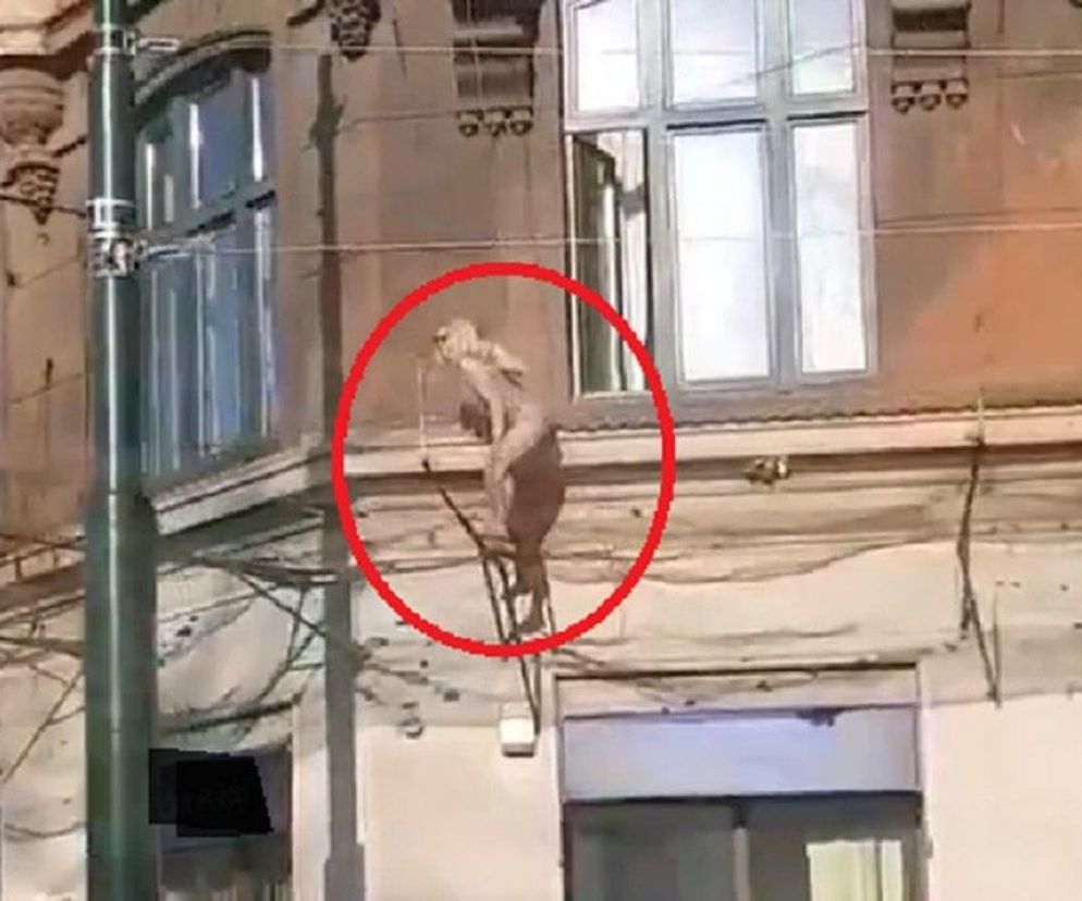 Naga gołębiarka robi furorę w sieci. Porównują ją do modelki spod paczkomatu