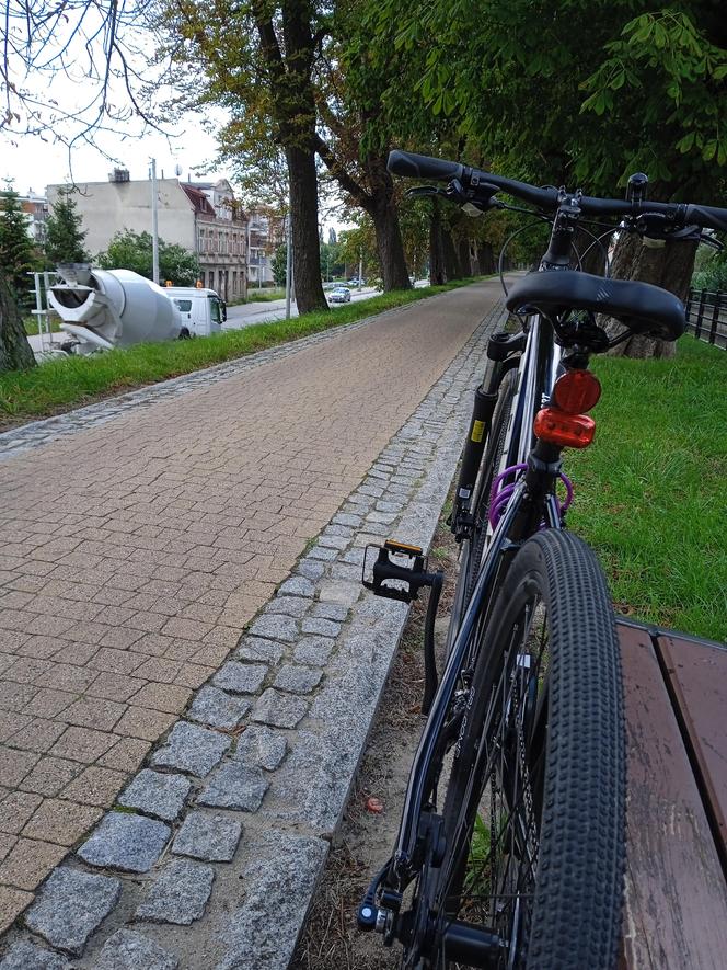 Przejechałam Gdańsk rowerem. Nasz test ścieżek rowerowych w mieście