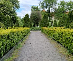 Sielanka, czyli zielona perła Bydgoszczy, o której mało kto pamięta!
