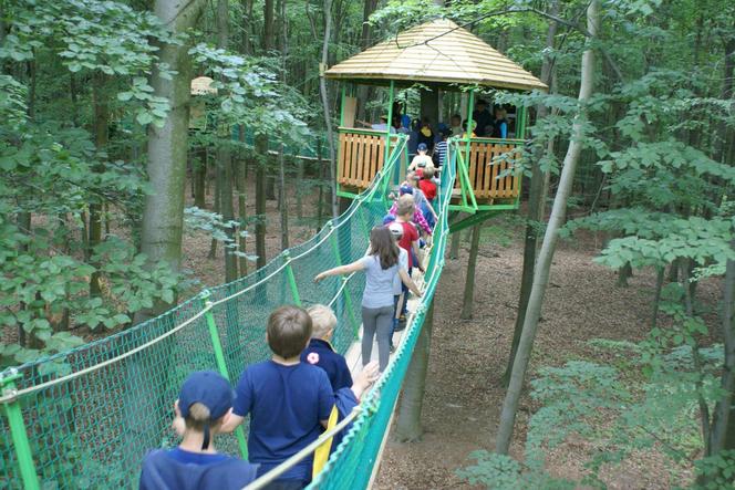 DELI Park to park edukacyjno-rozrywkowy.