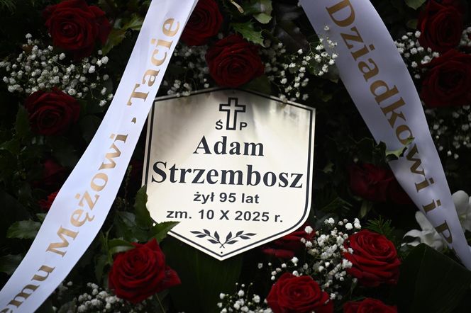Grób prof. Adama Strzembosza