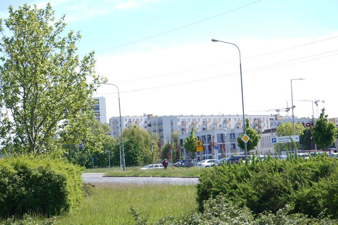 3. Starołęka 