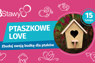 Nietypowe Walentynki w Katowicach. Mieszkańcy będą budować... budki dla ptaków [ZDJĘCIA]