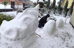 Śnieżne rzeźby DJ Larry'ego