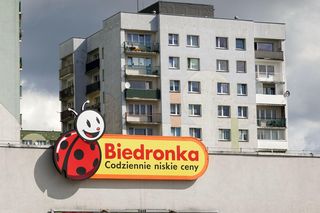 Jest praca w Biedronce. Poszukują 1900 pracowników. Zobacz stawki