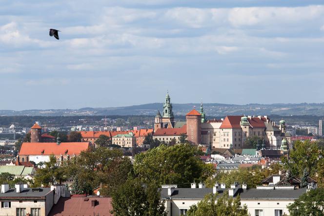 Kraków w obiektywie Marcina Matuszaka [ZDJĘCIE DNIA]