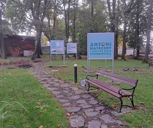 Park Zdrojowy w Krakowie