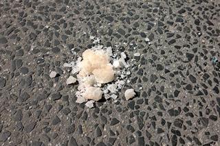 Uciekał przed policją we Wrocławiu. Za okno wyrzucał worki z narkotykami