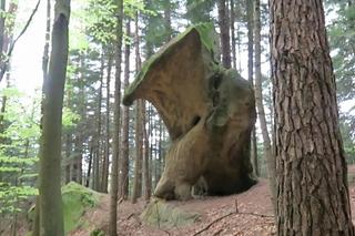 Te skały w lesie pod Wolą Komborską skrywają tajemnice. Są naprawdę nietypowe 