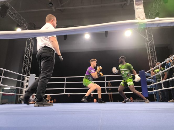 Walczyli dla Krystiana. Charytatywna gala boksu Hero Boxing Fighters 3 „Jungle”