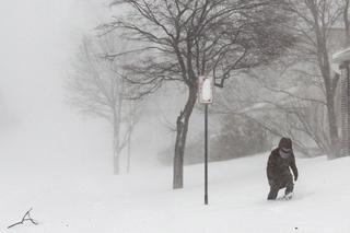 USA na wojnie z naturą. 50 ofiar śnieżyc, setki tysięcy ludzi bez prądu