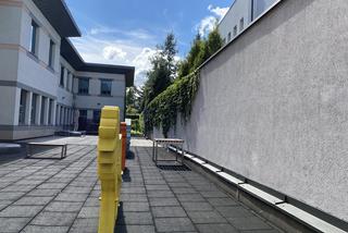 Ogród w szpitalu św. Ludwika w Krakowie