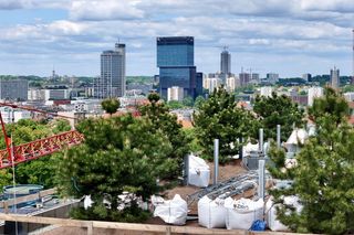 Posadzili drzewa przy pomocy dźwigu. Bo ten las rośnie na budynku. Na dachu i fasadzie apartamentowca - platany i sosny