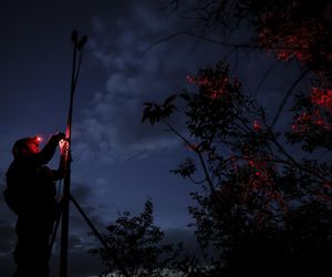 Ukraińcy szkolą na potęgę pilów dronów