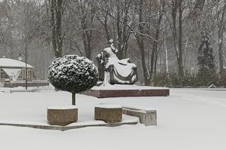 Kto powinien odśnieżać chodniki w mieście? Będą kontrole straży miejskiej!