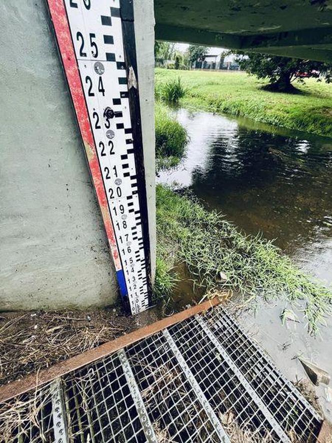 Alarm na Dolnym Śląsku. Zbliża się ogromna ulewa, w Kłodzku apelują o robienie zapasów wody. Relacja live